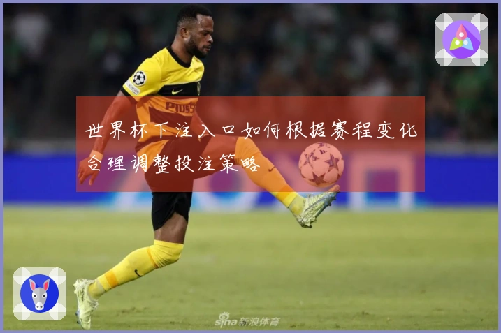 世界杯下注入口如何根据赛程变化合理调整投注策略