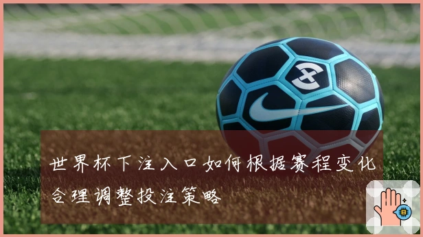 世界杯下注入口如何根据赛程变化合理调整投注策略