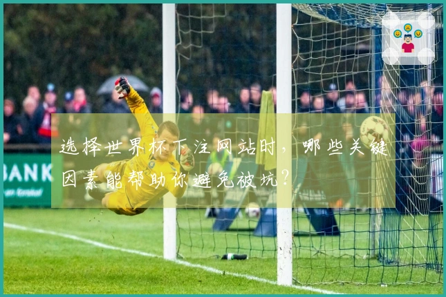 选择世界杯下注网站时，哪些关键因素能帮助你避免被坑？