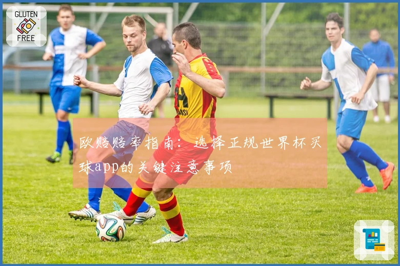 欧赔赔率指南：选择正规世界杯买球app的关键注意事项