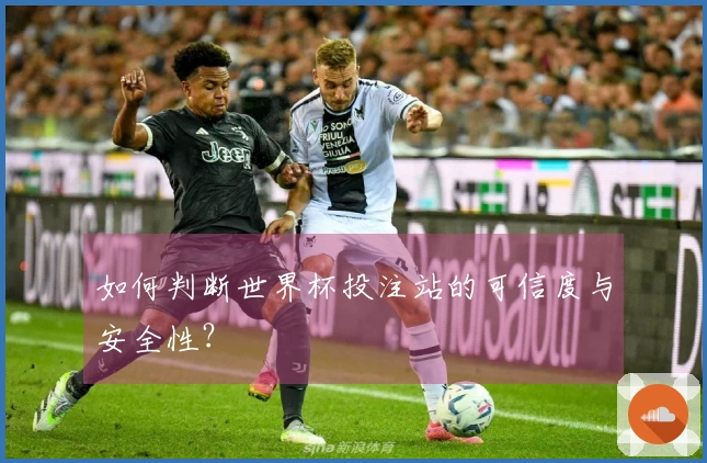 如何判断世界杯投注站的可信度与安全性?