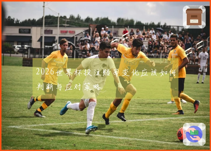 2026世界杯投注赔率变化应该如何判断与应对策略