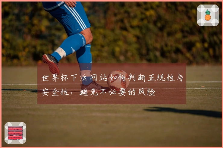 世界杯下注网站如何判断正规性与安全性，避免不必要的风险