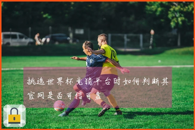 挑选世界杯竞猜平台时如何判断其官网是否可信可靠