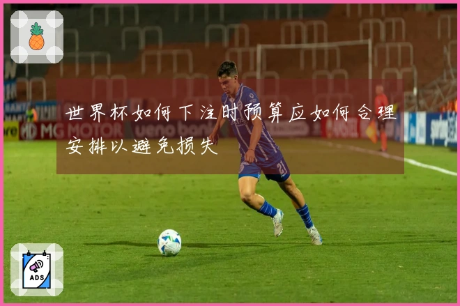 世界杯如何下注时预算应如何合理安排以避免损失