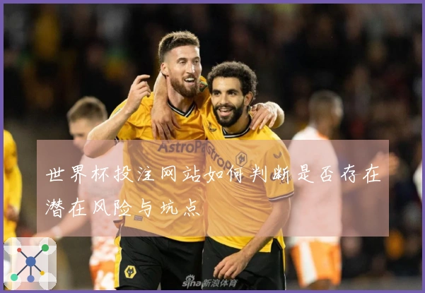 世界杯投注网站如何判断是否存在潜在风险与坑点