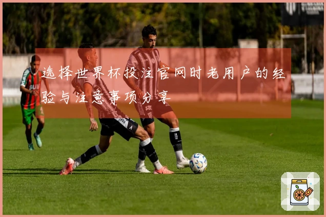 选择世界杯投注官网时老用户的经验与注意事项分享