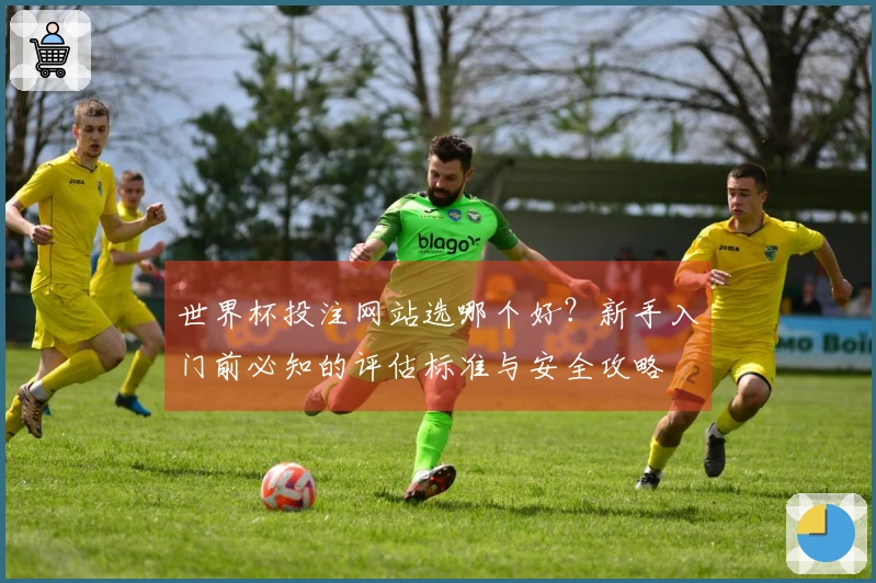 世界杯投注网站选哪个好?新手入门前必知的评估标准与安全攻略