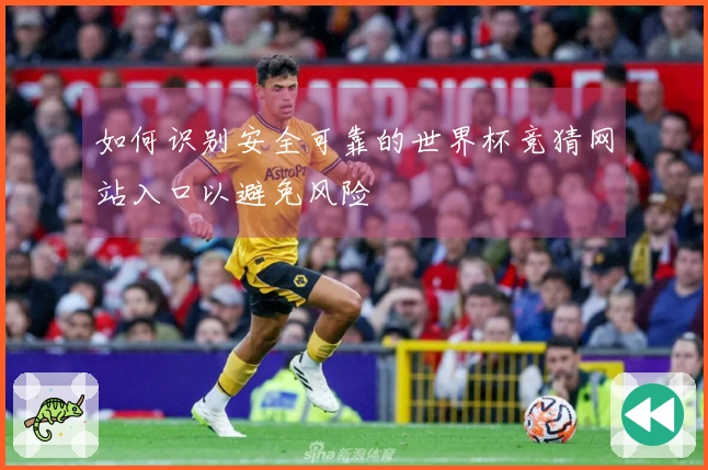 如何识别安全可靠的世界杯竞猜网站入口以避免风险