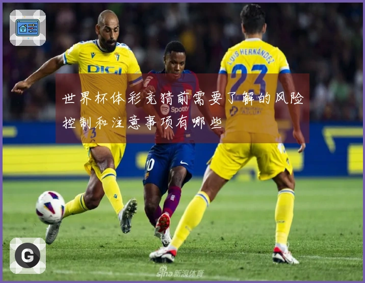 世界杯体彩竞猜前需要了解的风险控制和注意事项有哪些