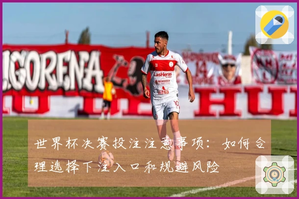 世界杯决赛投注注意事项：如何合理选择下注入口和规避风险