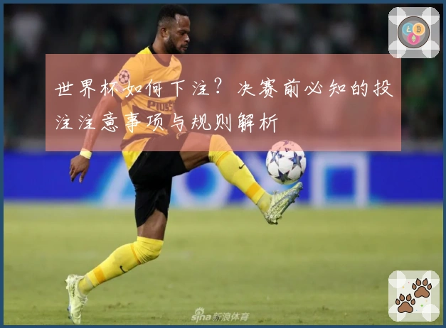 世界杯如何下注？决赛前必知的投注注意事项与规则解析