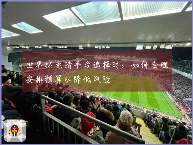 世界杯竞猜平台选择时,如何合理安排预算以降低风险