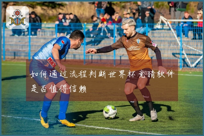 如何通过流程判断世界杯竞猜软件是否值得信赖