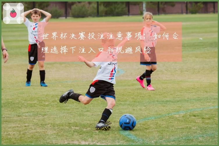 世界杯决赛投注注意事项：如何合理选择下注入口和规避风险