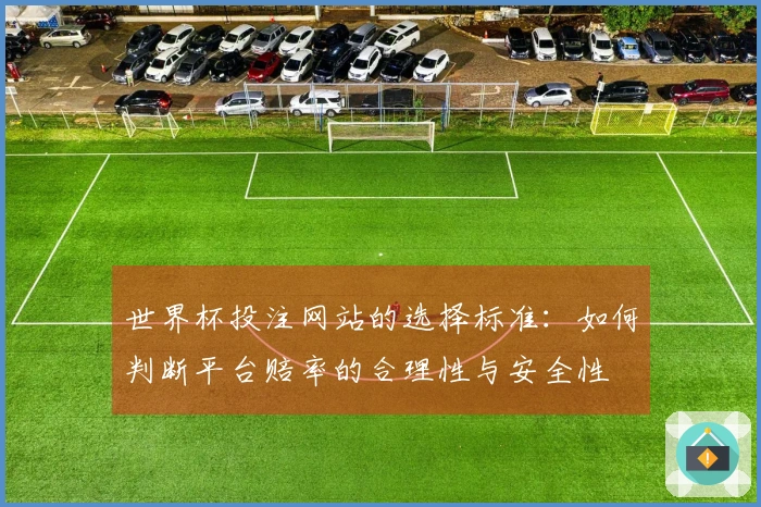 世界杯投注网站的选择标准：如何判断平台赔率的合理性与安全性