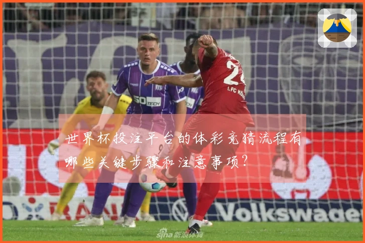 世界杯投注平台的体彩竞猜流程有哪些关键步骤和注意事项？