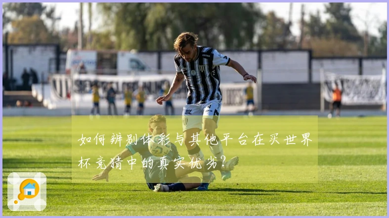 如何辨别体彩与其他平台在买世界杯竞猜中的真实优劣？