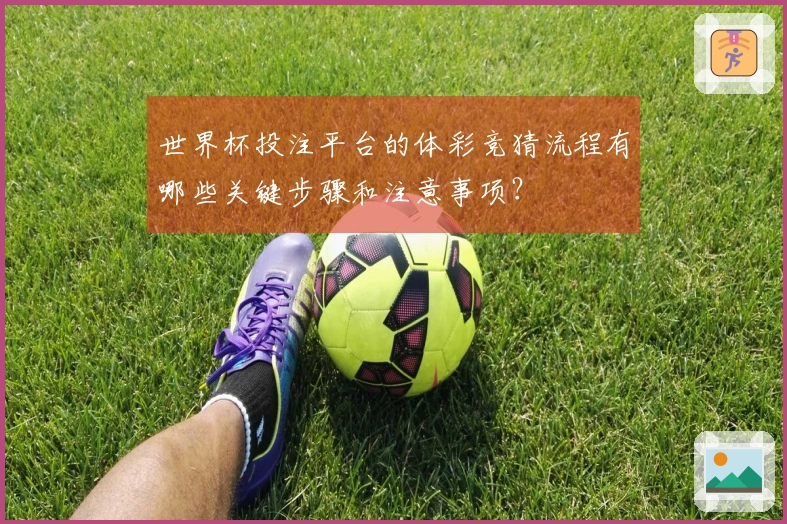 世界杯投注平台的体彩竞猜流程有哪些关键步骤和注意事项?