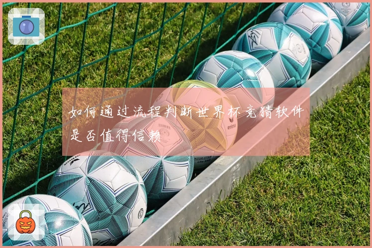 如何通过流程判断世界杯竞猜软件是否值得信赖