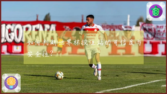 如何判断世界杯投注站的可信度与安全性？