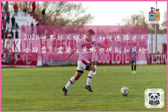 2026世界杯买球平台如何选择才不会踩雷？需要注意哪些规则和风险