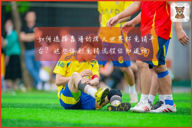如何选择靠谱的烽火世界杯竞猜平台？这些体彩竞猜流程你知道吗